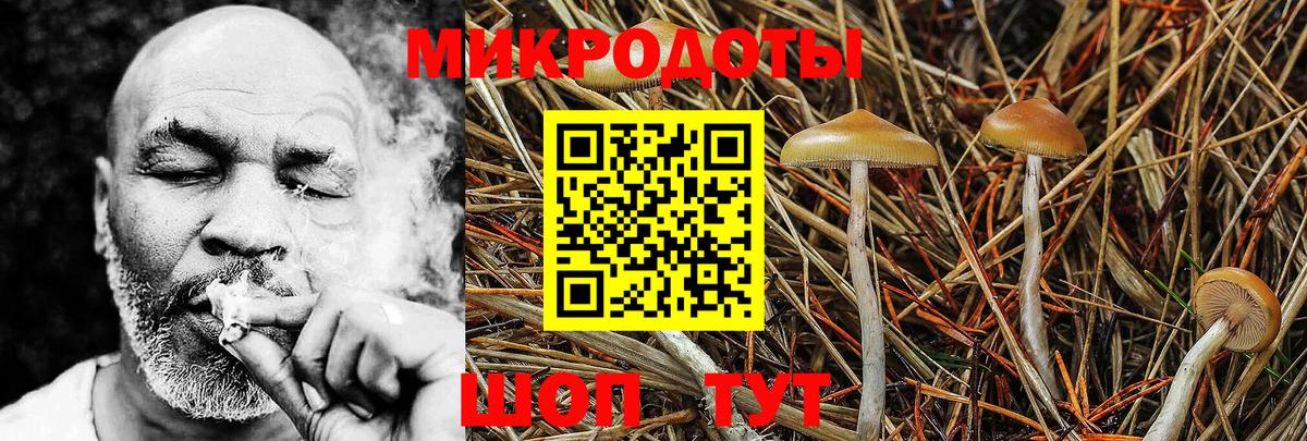 Галлюциногенные грибы мухоморы  Галлюциногенные грибы Magic Shrooms  Кыштым  Вход с VPN 